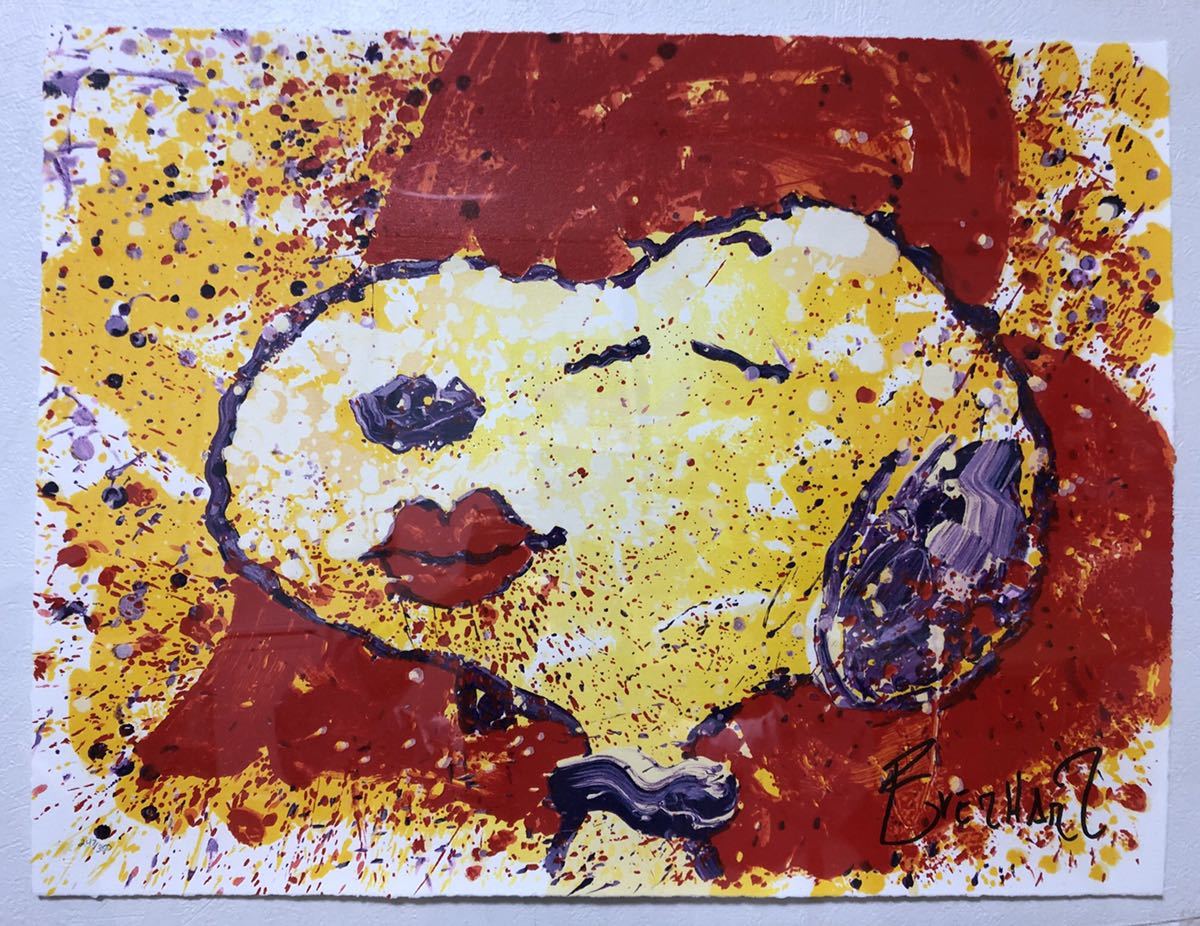 ヤフオク! - 【現品限り】トムエバハート/Tom Everhart☆A