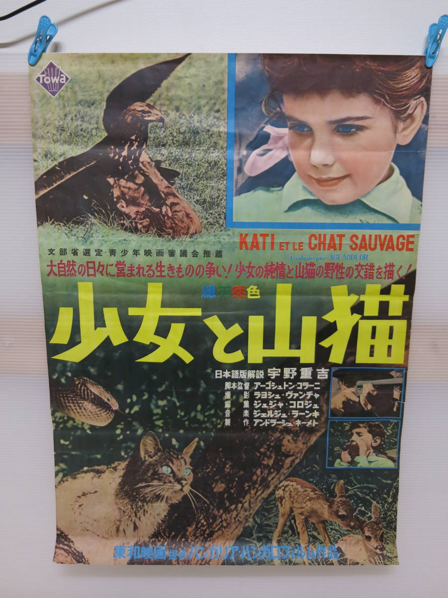 映画ポスター　少女と山猫　東和映画　71.5×51