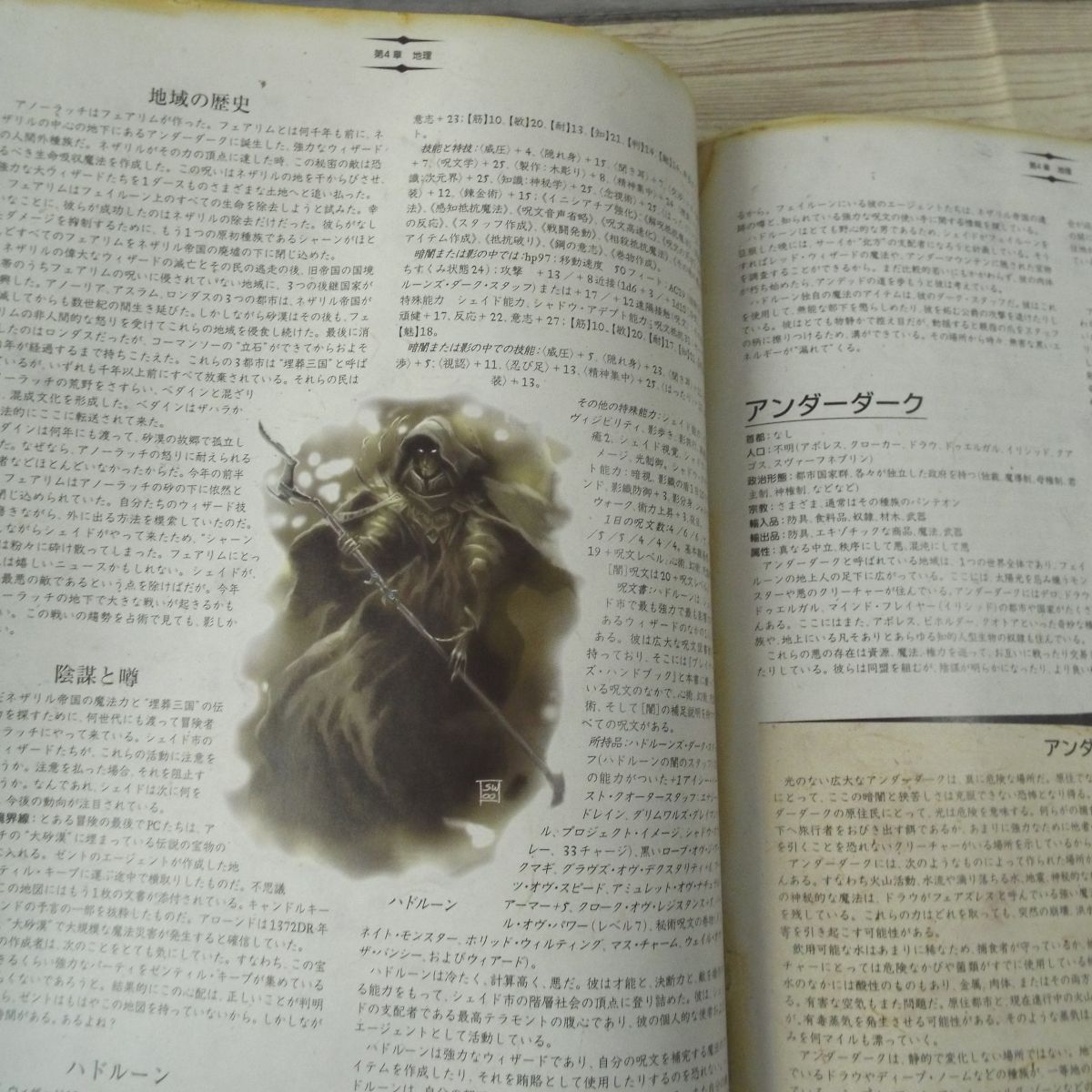 50%OFF D 4版 フォーゴトン レルム キャンペーン ガイド asakusa.sub.jp