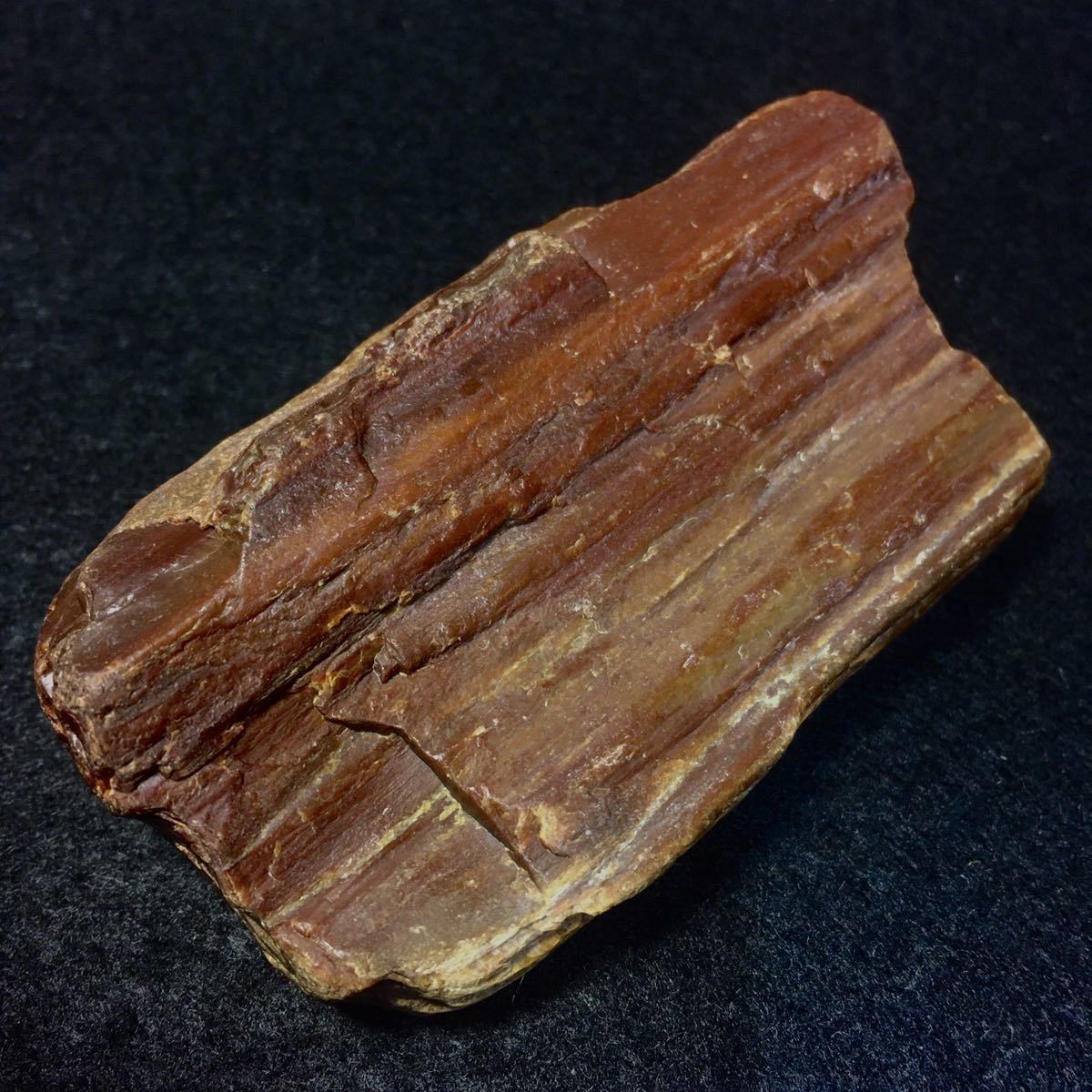 希少 カラー珪化木 赤瑪瑙化 1500万年前 珪化木 瑪瑙 ジャスパー 碧玉 