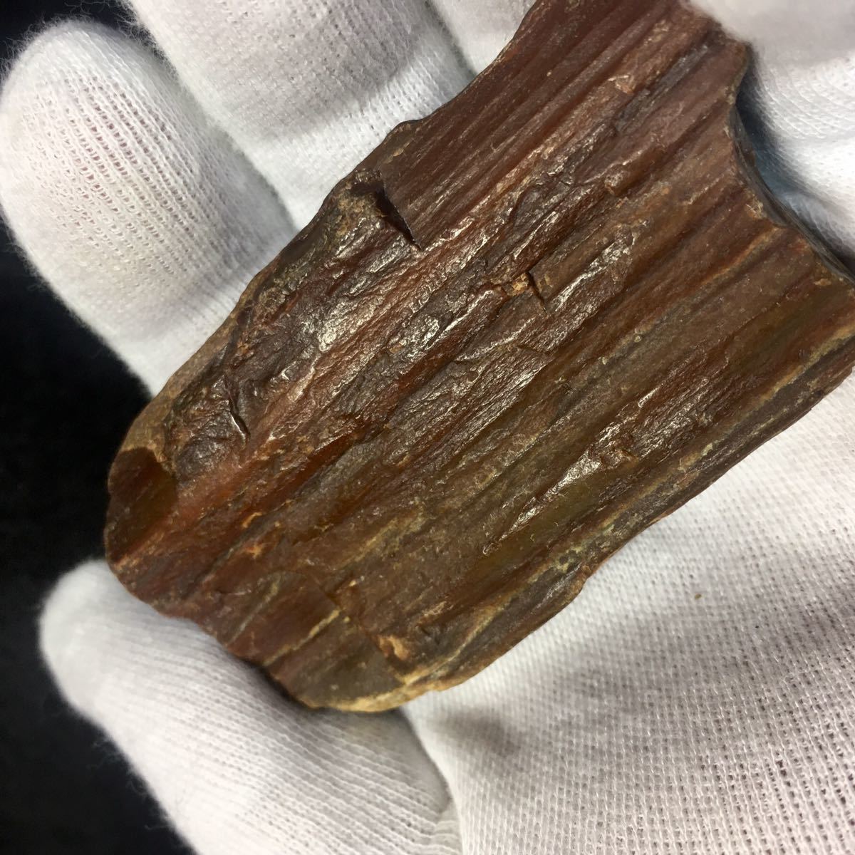 希少 カラー珪化木 赤瑪瑙化 1500万年前 珪化木 瑪瑙 ジャスパー 碧玉 原石 木石 木化石 木の化石 カーネリアン 希少 カラー珪化木 赤瑪瑙化 1500万年前 珪化木 瑪瑙 ジャスパー 碧玉 原石 木石 木化石 木の化石 カーネリアン