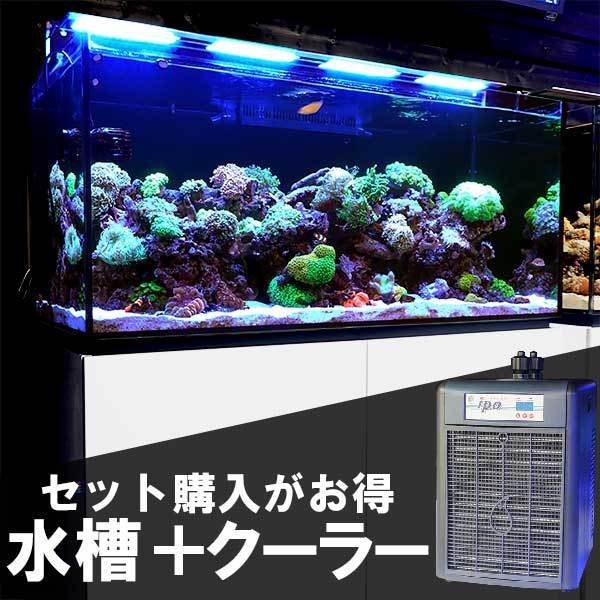 全国配送対応 オーバーフロー水槽1 横 55 奥 55 高 Cm クーラーセット C 5002 海水魚サンゴ生体日本代购 买对网 全国配送対応 オーバーフロー水槽1 横 55 奥 55 高 Cm クーラーセット C 5002 海水魚サンゴ生体日本代购 买对网