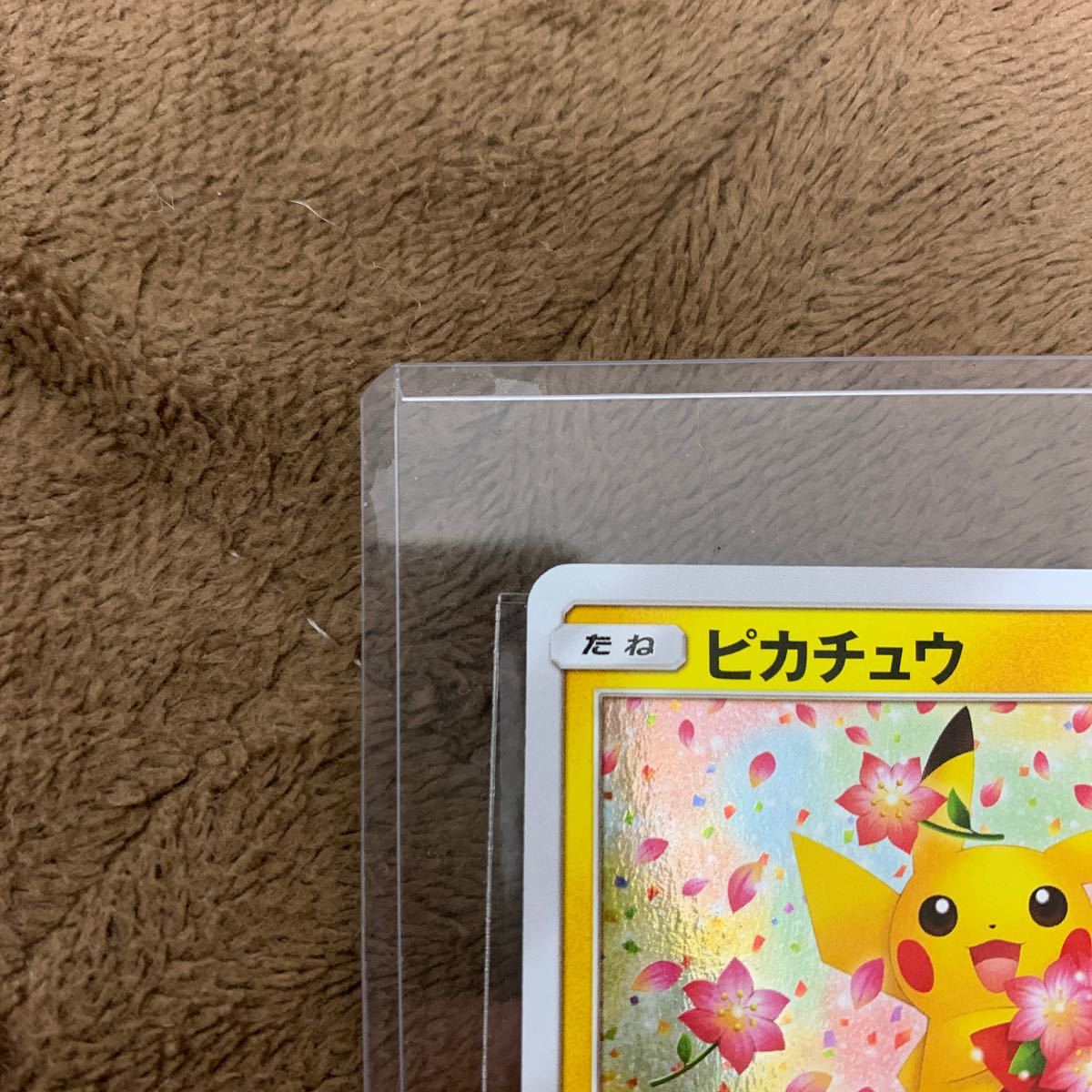極美品 ポケモンカード 20周年プロモ みんなでいわう ピカチュウ 極美品 ポケモンカード 20周年プロモ みんなでいわう ピカチュウ