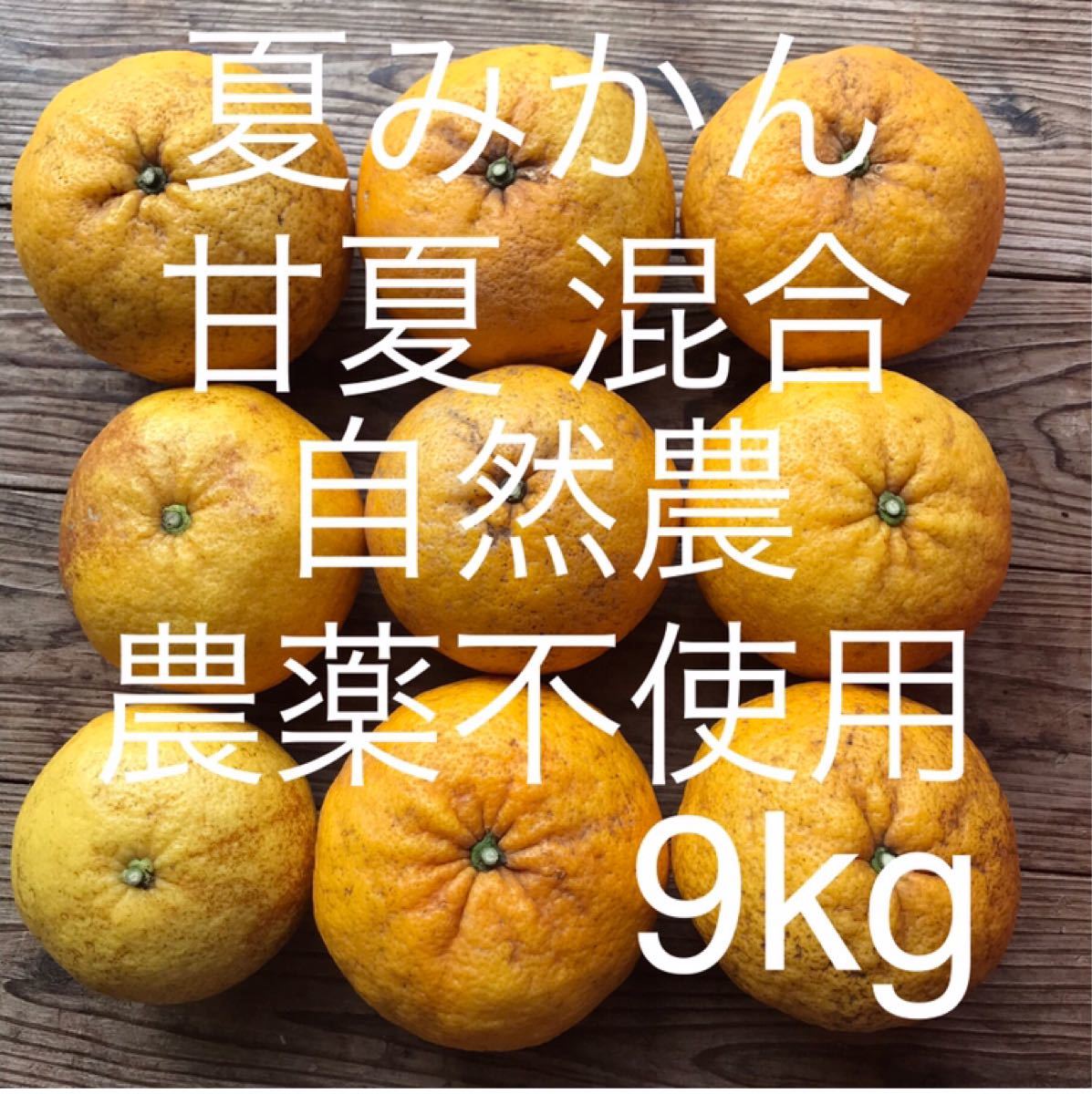 Paypayフリマ S9 注文後収穫 夏みかん 甘夏 混合 自然農農薬消毒化学肥料不使用自然栽培 あまなつ なつみかん Paypayフリマ S9 注文後収穫 夏みかん 甘夏 混合 自然農農薬消毒化学肥料不使用自然栽培 あまなつ なつみかん