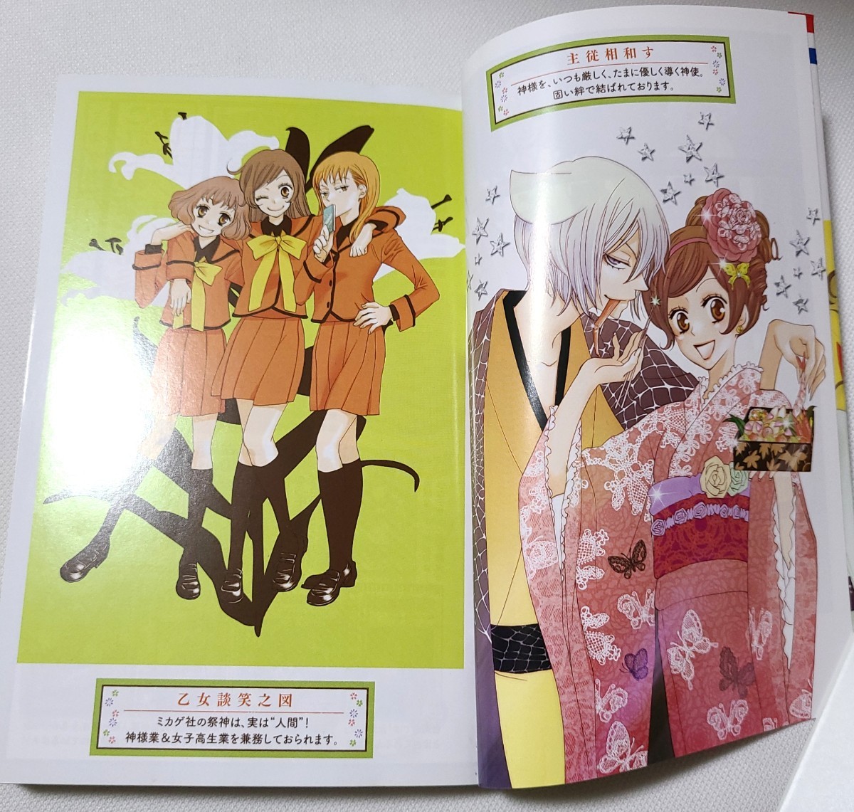 公式ファンブック 【神様はじめました】13 5巻&25 5巻セット 公式ファンブック 【神様はじめました】13 5巻&25 5巻セット