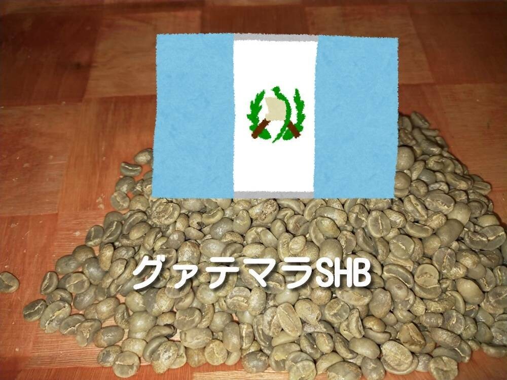 サントス　スプレモ　タンザニア　グァテマラ 各200g　コーヒー生豆