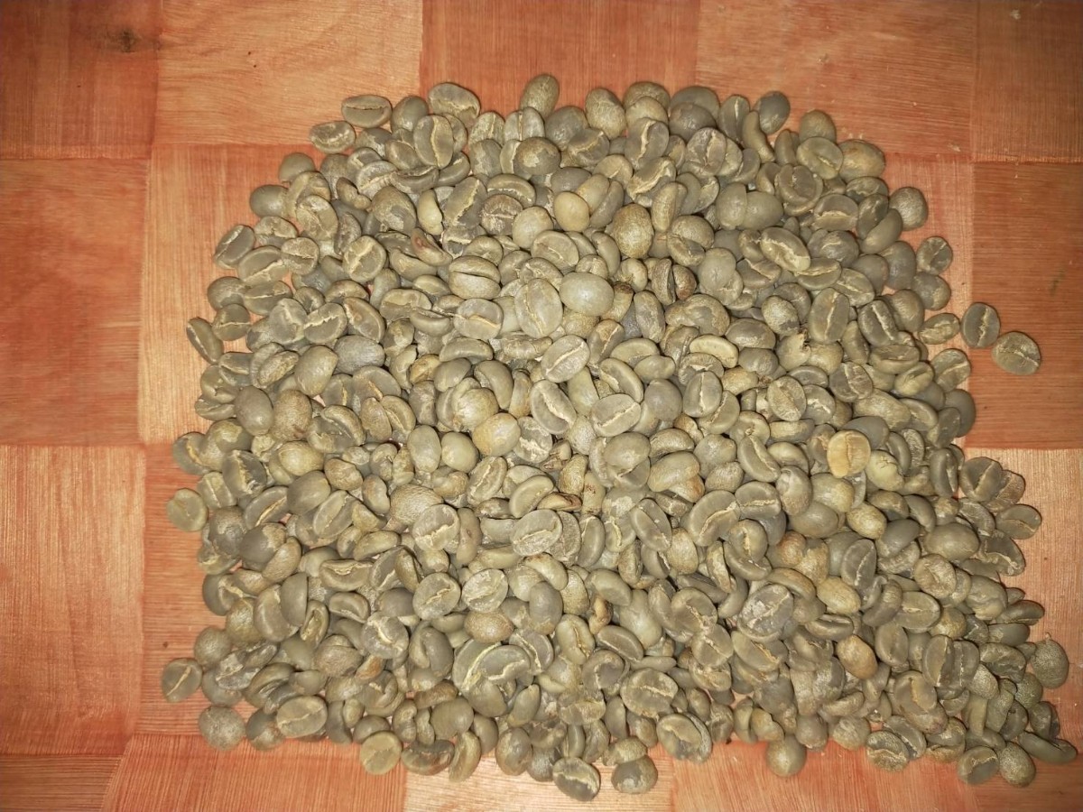タンザニアAA　（キリマンジャロ）コーヒー生豆　800g