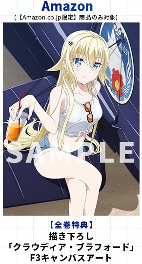 戦翼のシグルドリーヴァ Amazon.co.jp限定 Blu-ray/DVD 全巻 戦翼のシグルドリーヴァ Amazon.co.jp限定 Blu-ray/DVD 全巻