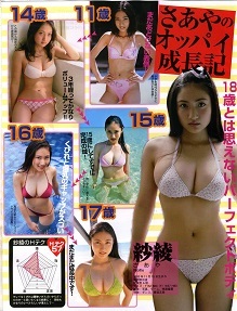 切り抜き 紗綾 助川まりえ 原幹恵 有川知里 手束真知子_画像2