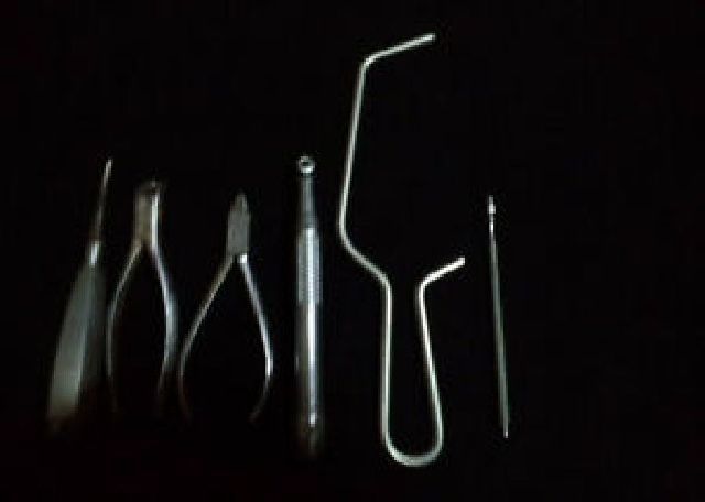  tooth . apparatus tool tooth . person tooth ...120 point large amount together set 