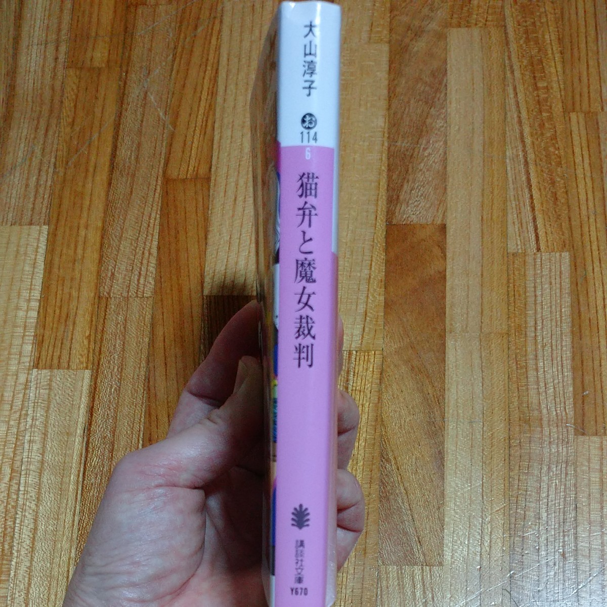 猫弁と魔女裁判