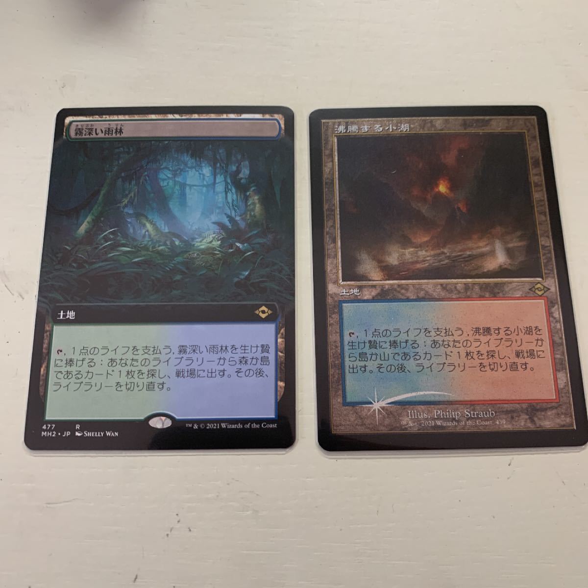 お試し価格 Mtg 10枚セット Foil 対抗色フェッチ 旧枠 通常 エッチング マジック ザ ギャザリング Labelians Fr