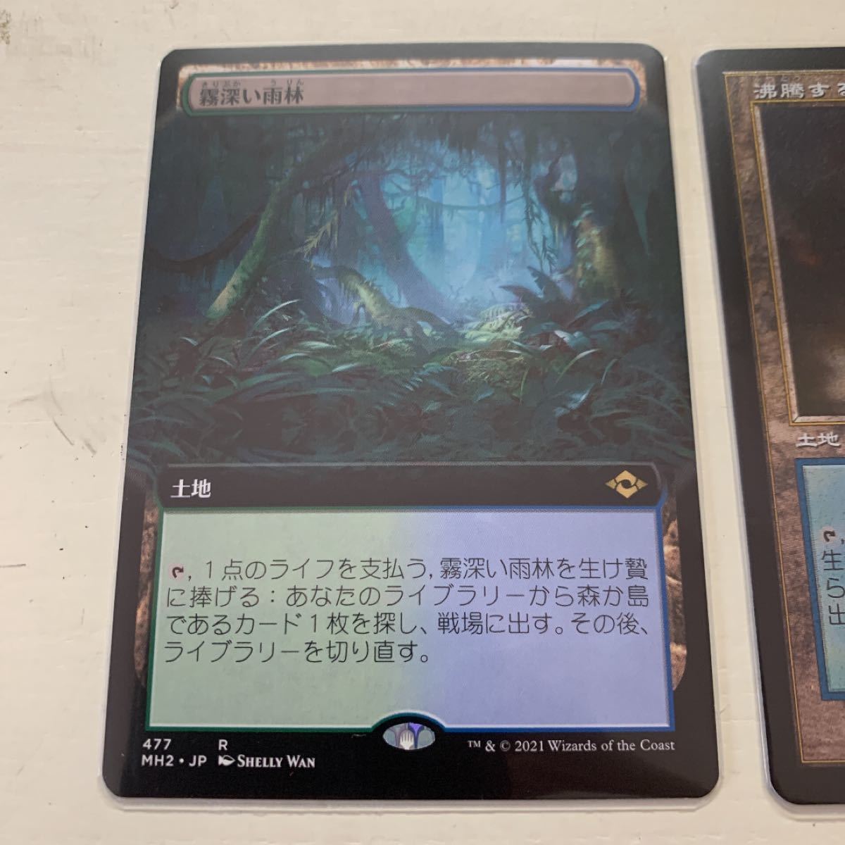 お試し価格 Mtg 10枚セット Foil 対抗色フェッチ 旧枠 通常 エッチング マジック ザ ギャザリング Labelians Fr