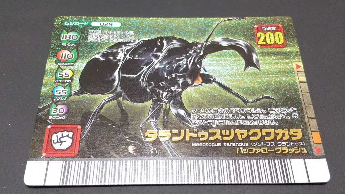 Yahoo!オークション - 希少 エラー版 2007年フォレストグリーン Yahoo!オークション - 希少 エラー版 2007年フォレストグリーン