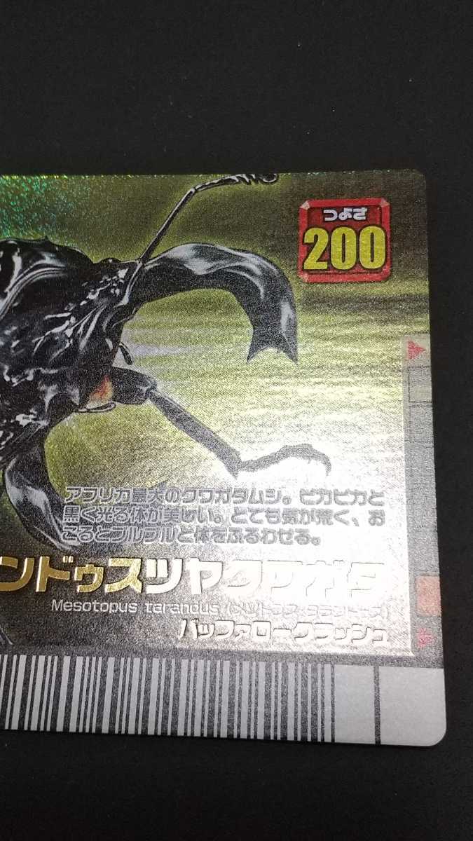 Yahoo!オークション - 希少 エラー版 2007年フォレストグリーン Yahoo!オークション - 希少 エラー版 2007年フォレストグリーン