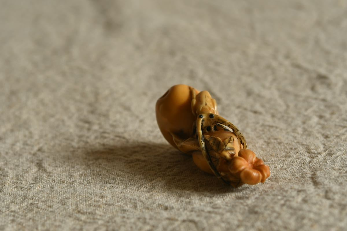 【古美術】瀬仙？ カミキリムシ 根付 天牛 昆虫 瓢箪 花 ひょうたん 骨董 Netsuke アンティーク レトロ 牙_画像5