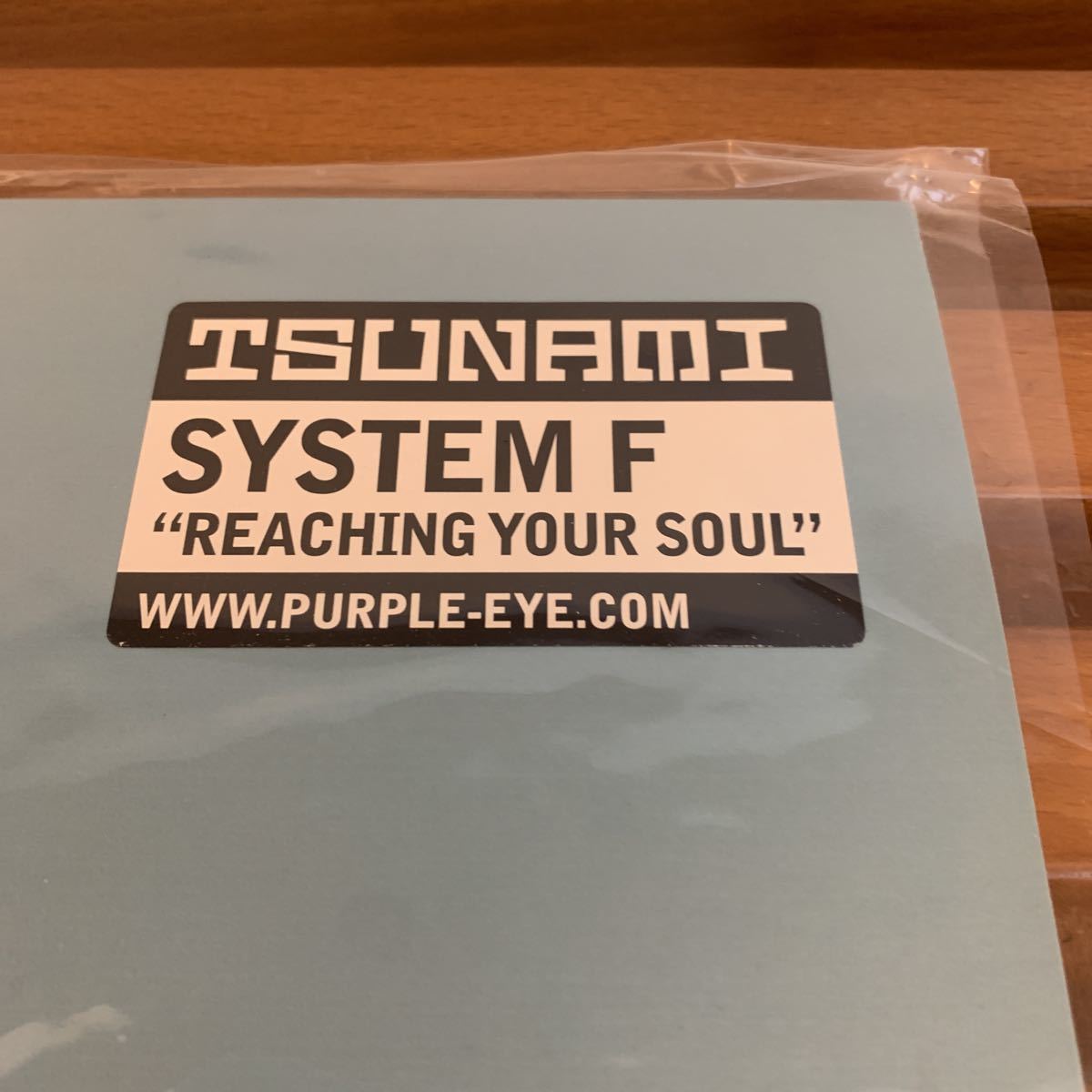 SYSTEM F REACHING YOUR SOUL Vinyl LP 12inch レコード Analog DJ Tiesto Ferry Corsten_画像3