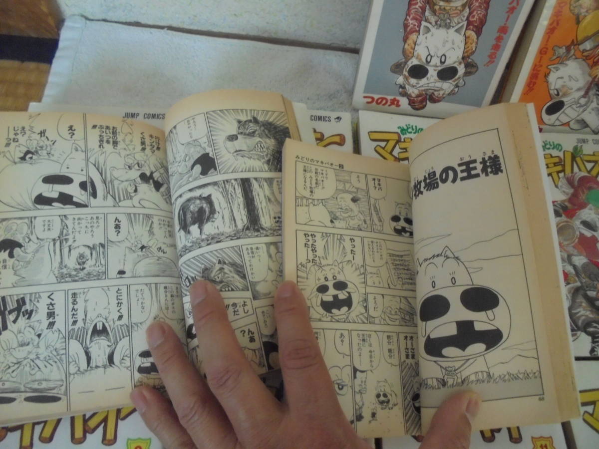 みどりのマキバオー 1巻～12巻 12冊/作者：つの丸/ジャンプコミックスの画像5