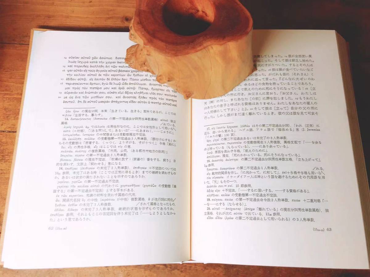 希和対訳脚注つき 新約聖書 ルカ福音書 上下揃 ギリシャ語聖書 希和対訳脚注つき 新約聖書 ルカ福音書 上下揃 ギリシャ語聖書