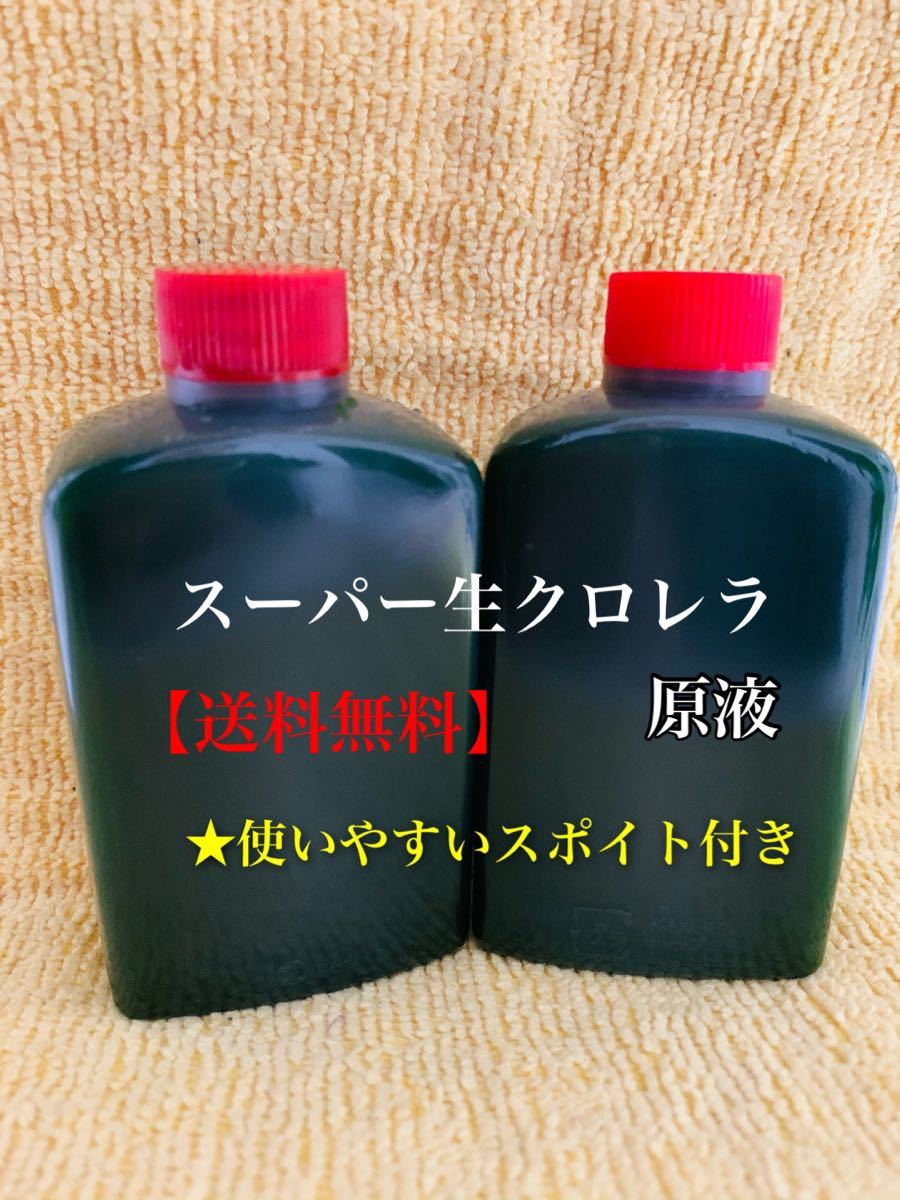 Paypayフリマ スーパー 生クロレラ原液180ml ミジンコ ワムシ メダカ 若魚 稚魚 針子に スポイトと保冷剤付き Paypayフリマ スーパー 生クロレラ原液180ml ミジンコ ワムシ メダカ 若魚 稚魚 針子に スポイトと保冷剤付き