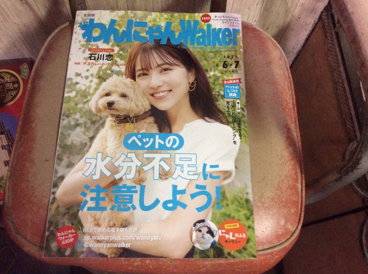 わんにゃんwalkerの値段と価格推移は 101件の売買情報を集計したわんにゃんwalkerの価格や価値の推移データを公開