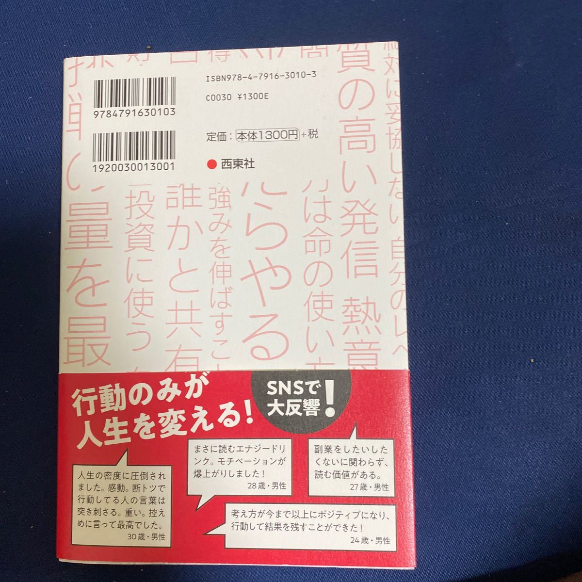 本気の副業術 8割の人が副業月収3万円未満なのに好きなことだけして月収100万円稼いだサラリーマンが教える/AKIOBLOG