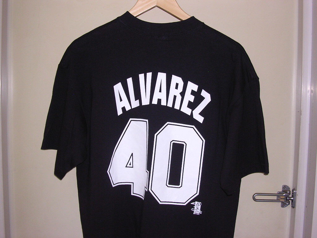 美品 90s USA製 Majestic MLB Tampa Bay Devil Rays #40 ALVAREZ Tシャツ XL 黒 vintage old レイズ ナンバリング デビルレイズの画像1