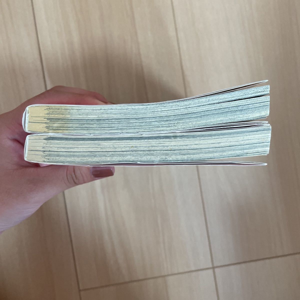 Paypayフリマ 妖怪アパートの幽雅な日常 12巻 Paypayフリマ 妖怪アパートの幽雅な日常 12巻