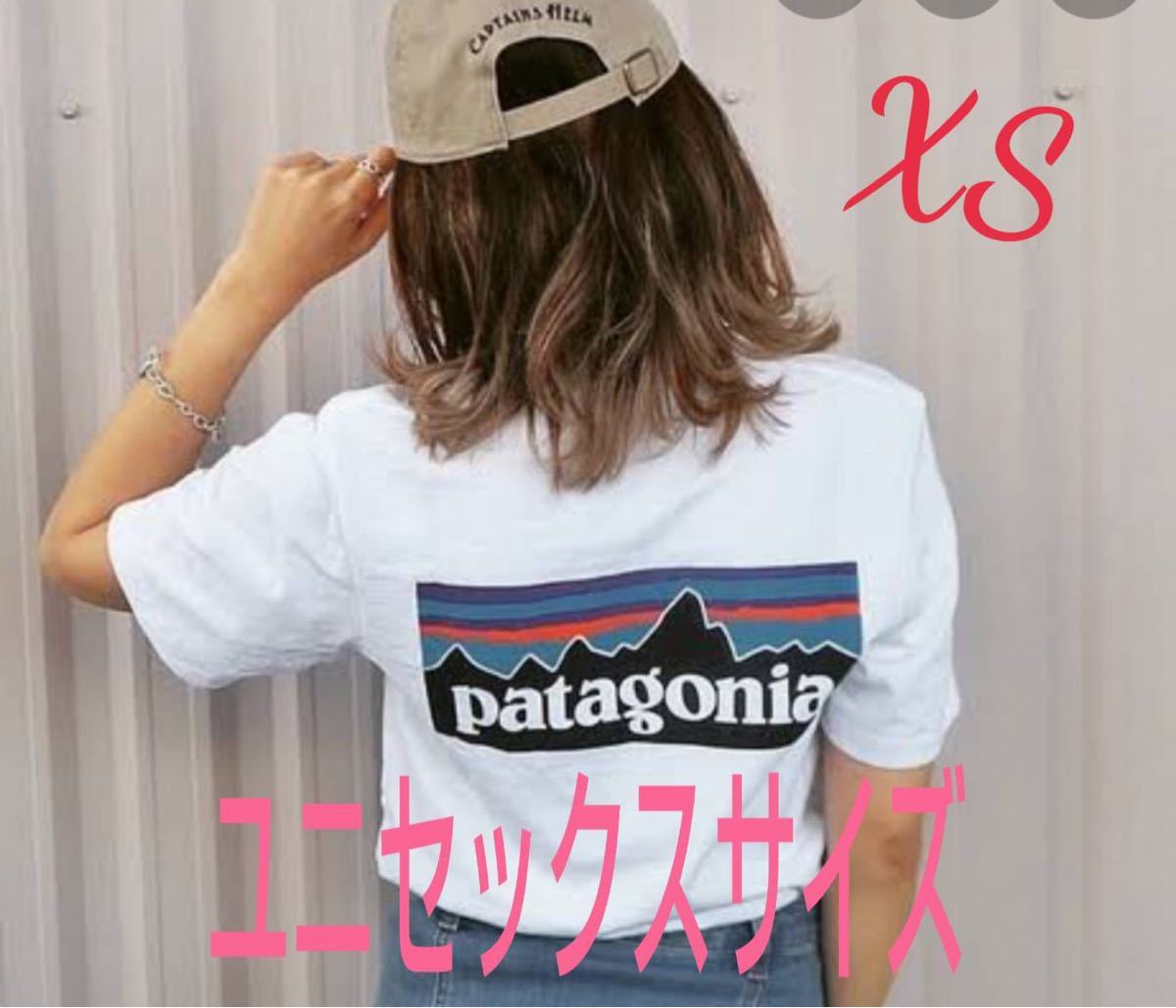 70％OFF】 美品 パタゴニアTシャツ ポケット付き nmef.com