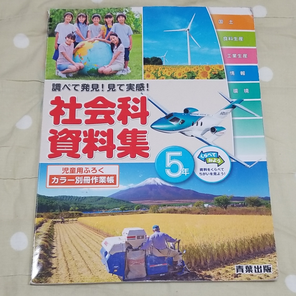 Paypayフリマ 小学校 教科書 5年生 社会科資料集 青葉出版 Paypayフリマ 小学校 教科書 5年生 社会科資料集 青葉出版
