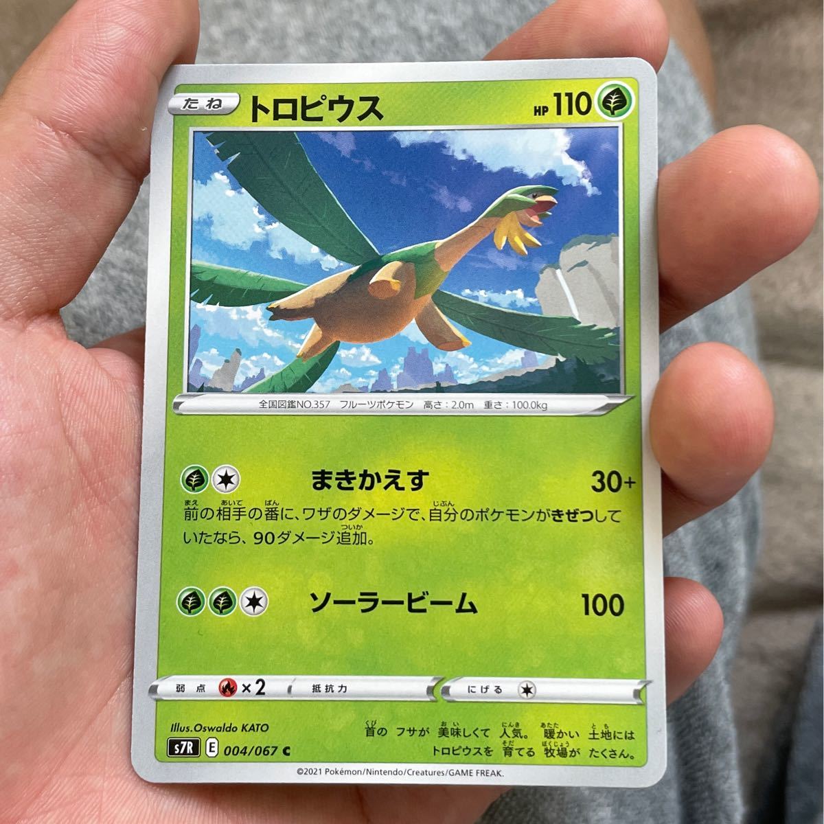 Paypayフリマ ポケモンカード Sm8b ポケモンカードゲーム リオル ポケモンカードウルトラシャイニー ポケカ 色違い Paypayフリマ ポケモンカード Sm8b ポケモンカードゲーム リオル ポケモンカードウルトラシャイニー ポケカ 色違い
