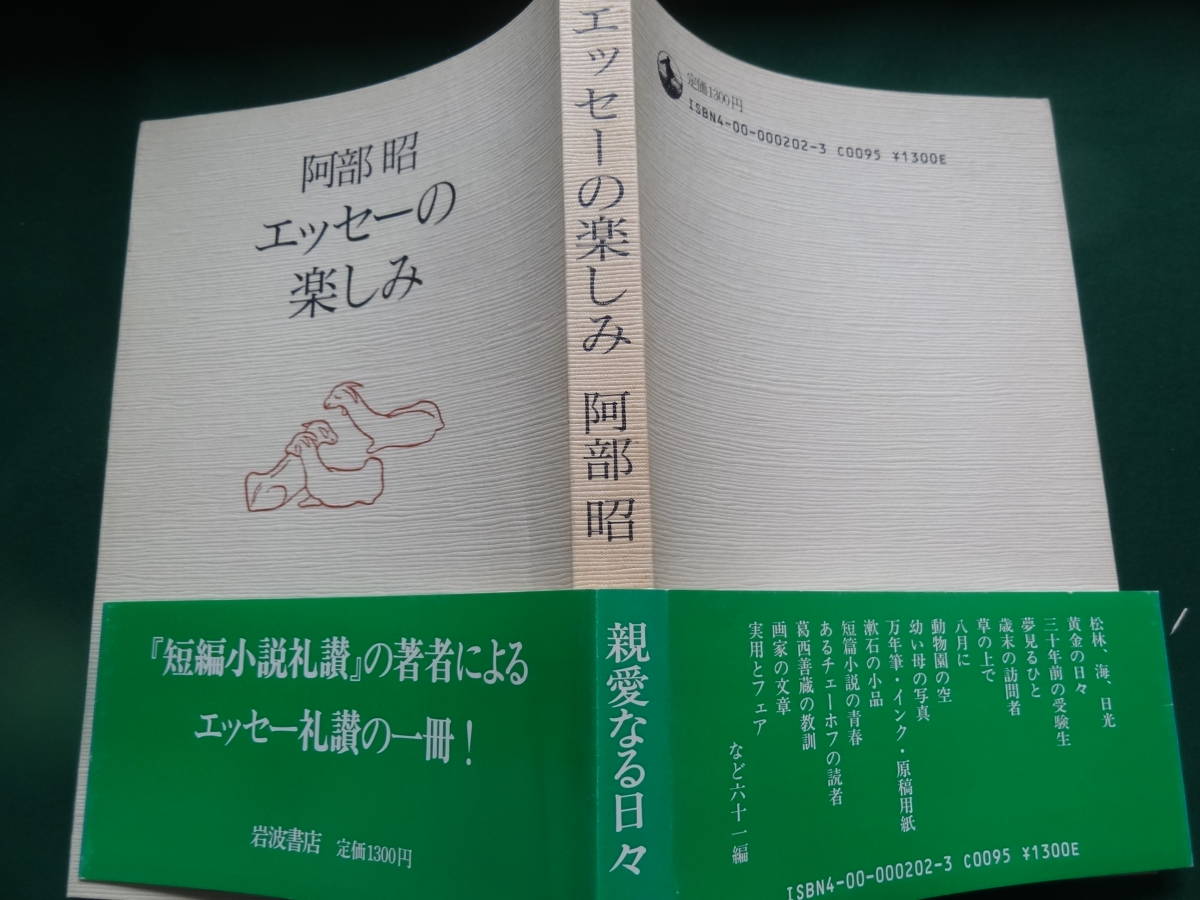 エッセーの楽しみ　＜エッセイ集＞　阿部昭　岩波書店　昭和62年 初版 帯付_画像2