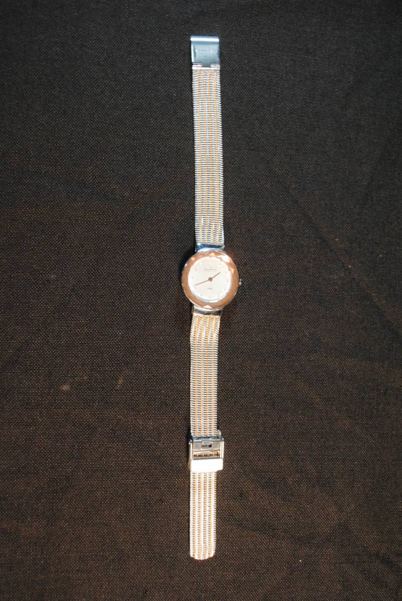 スカーゲン　SKAGEN Denmark 女性用腕時計　元箱付