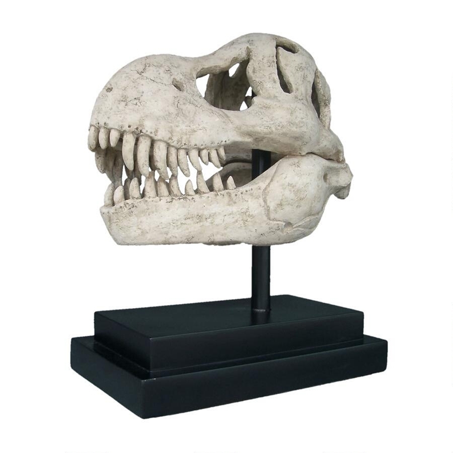 高級品市場 TREXの骨格・化石 ディスプレイ台座付置物インテリア飾り