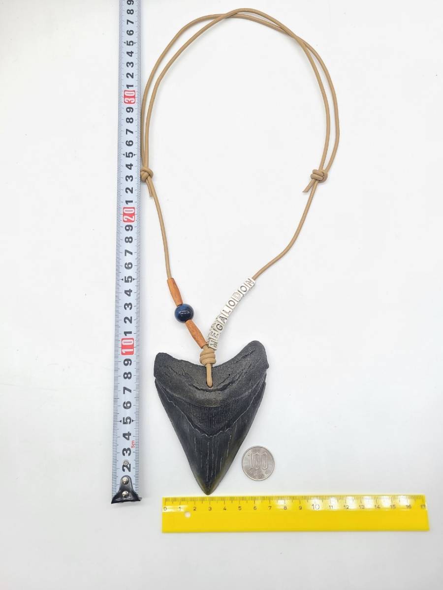 予約】 カマヒレザメ ネックレス ペンダント 化石 DIY DB3 TAKUMI 