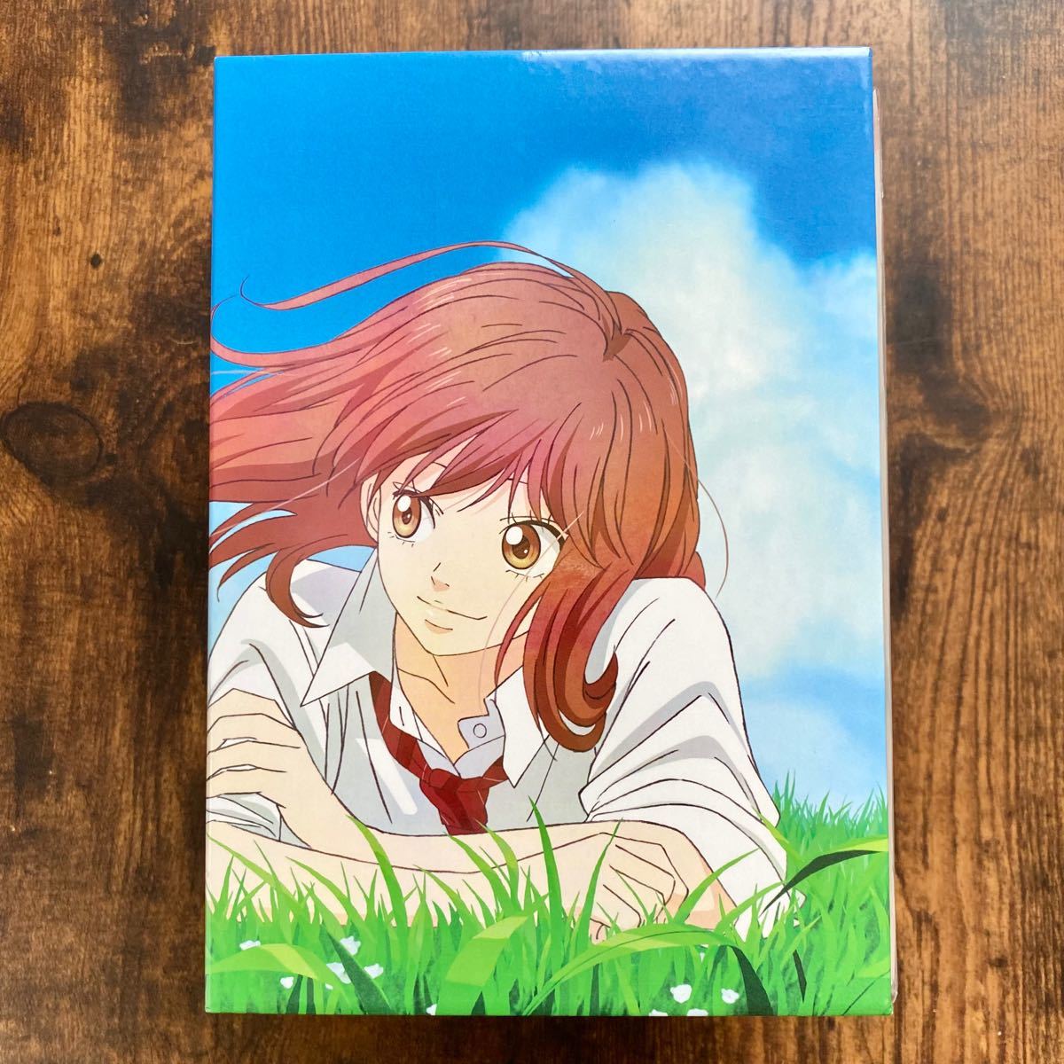 アオハライド 初回生産限定版DVD 全巻収納BOX付き|Yahoo!フリマ(旧PayPayフリマ) アオハライド 初回生産限定版DVD 全巻収納BOX付き|Yahoo!フリマ(旧PayPayフリマ)