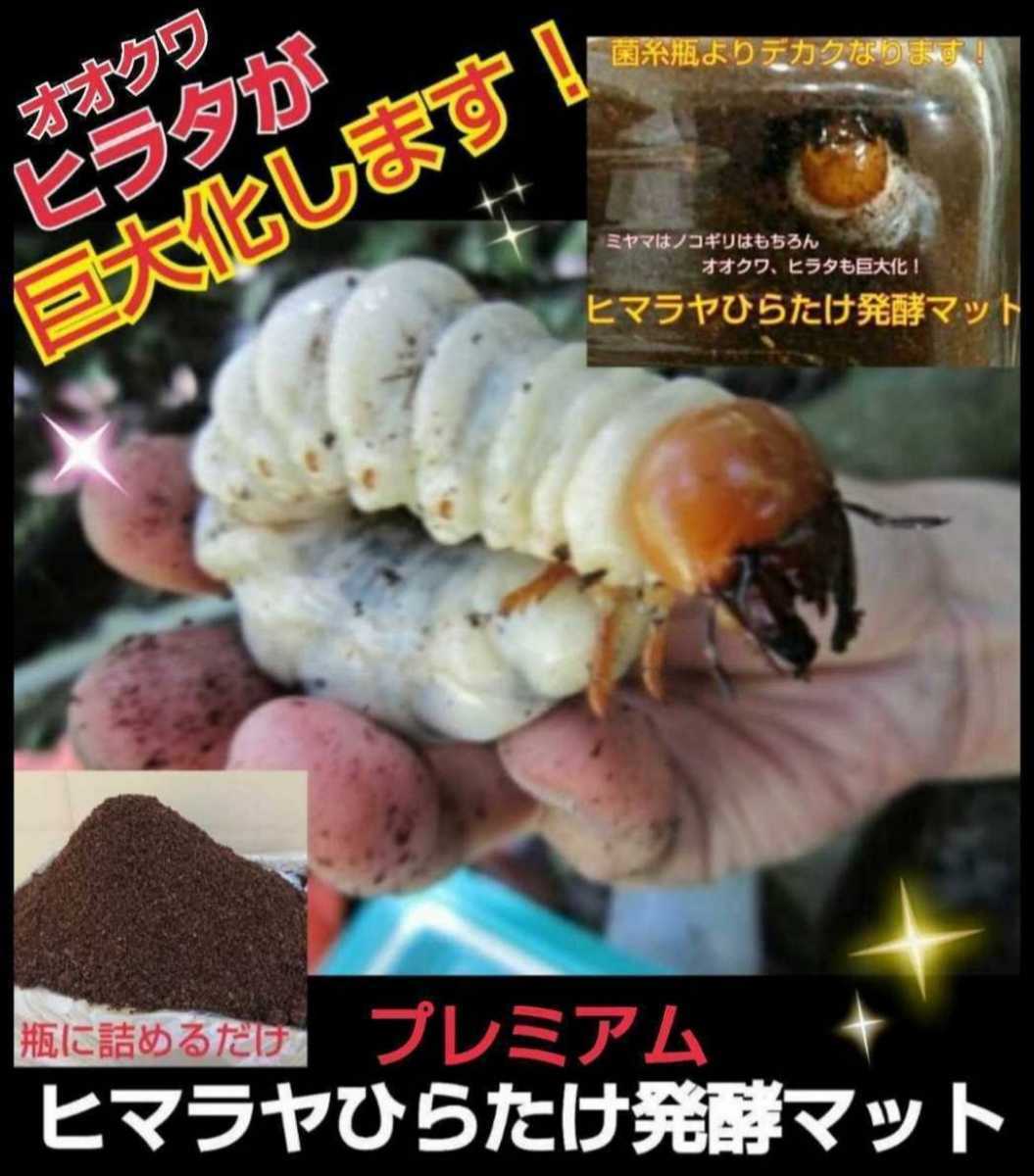 1000ml中がよく見えるクリアボトル入り！進化した！プレミアム3次発酵クワガタマット☆幼虫を入れるだけ！便利！栄養添加剤3倍配合プロ仕様_画像2