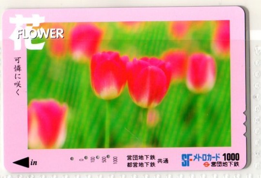 メトロカード・花・FLOWER～2（使用済み）イオカード・オレンジカード・パスネット_画像1