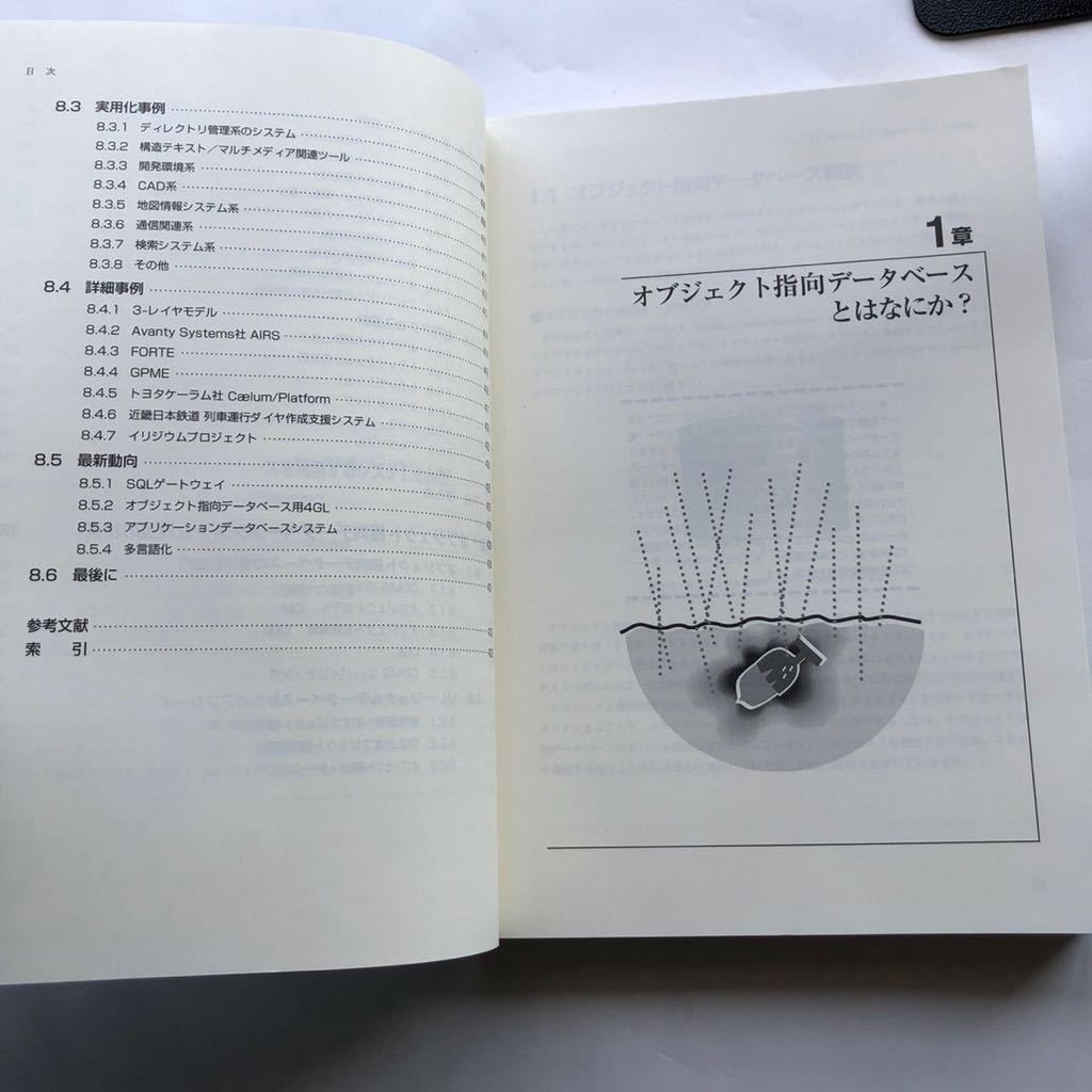 ● オブジェクト指向データベース 1996年初版 石塚圭樹 アスキー Ascii 中古本 PC パソコン 永続化システム C++ ObjectStore_画像10