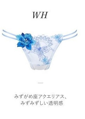 みずがめ座♡サルート♡新品♡ブラ♡ソング♡セット♡M or L♡42 - www