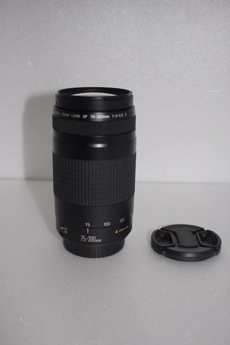 定番の中古商品 Canon EF75-300㎜☆イベント、大迫力の300㎜ Canon