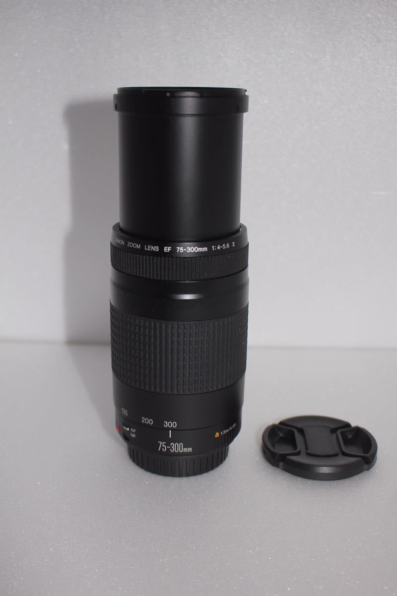 定番の中古商品 Canon EF75-300㎜☆イベント、大迫力の300㎜ Canon