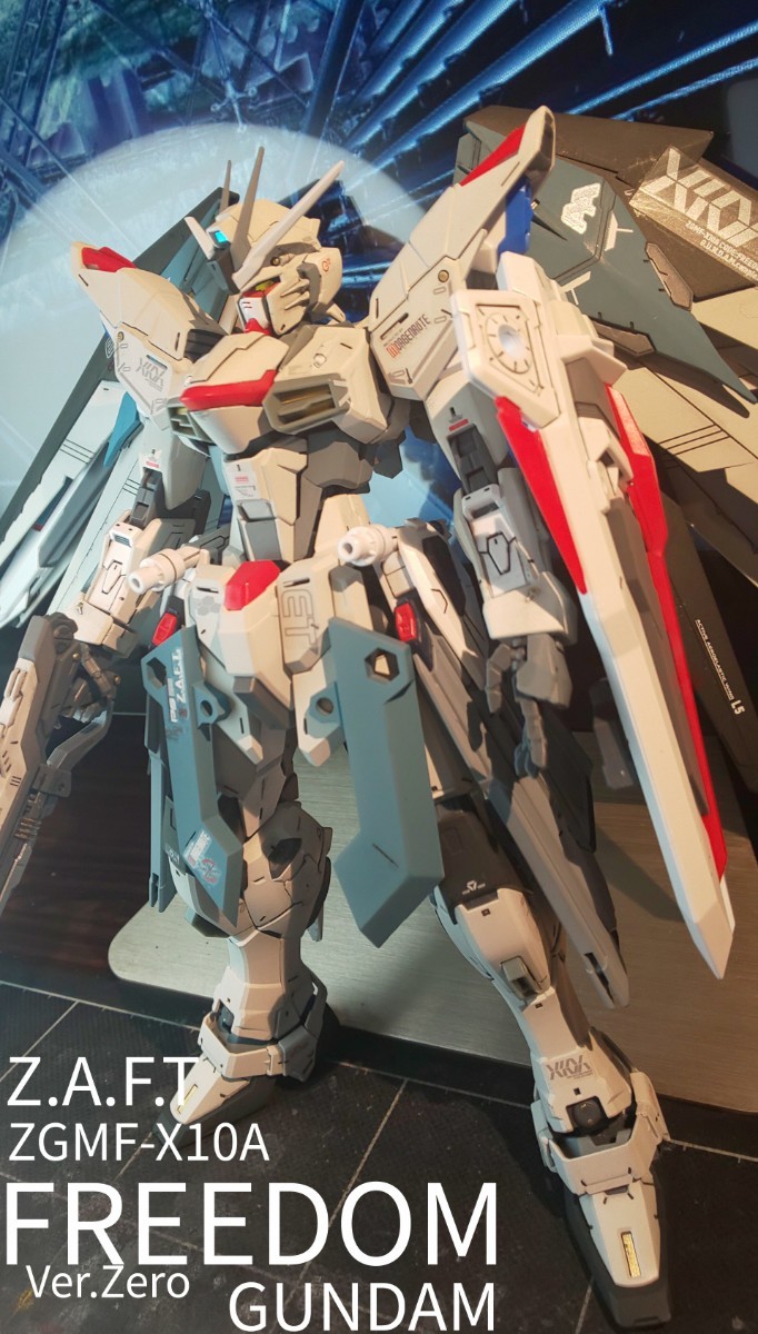 MG FREEDOM GUNDAM ZGMF-X10Aフリーダムガンダム Ver.2.0 完成品