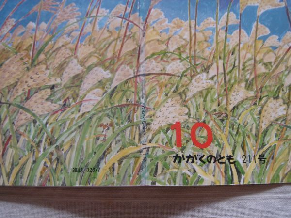 【月刊絵本】すすき　かがくのとも 211巻 1986年10月号 *折り込みふろくあり / 福音館 菅原久夫 白根美代子 植物 かやはら_画像6