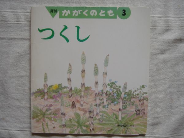 【月刊絵本】つくし かがくのとも 300号 1994年3月号 *折り込みふろく(どうぶつタイムス60号 )あり / 福音館 甲斐信枝 植物_画像1