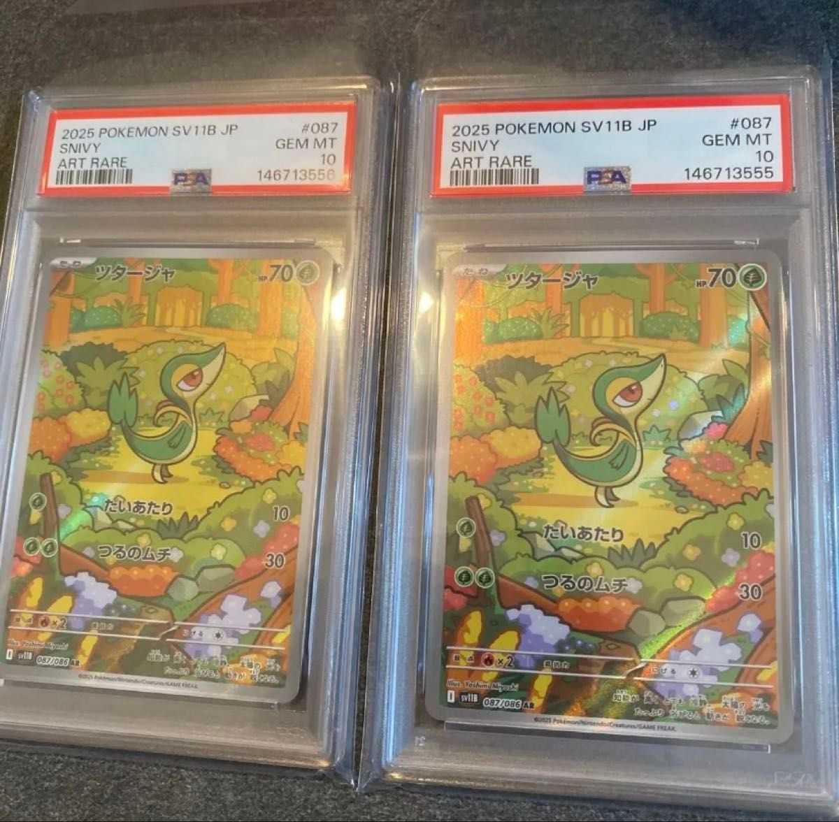 【PSA10】ツタージャAR PSA10 ツタージャ AR 087/086 SV11B 2枚セット ポケモンカード 連番