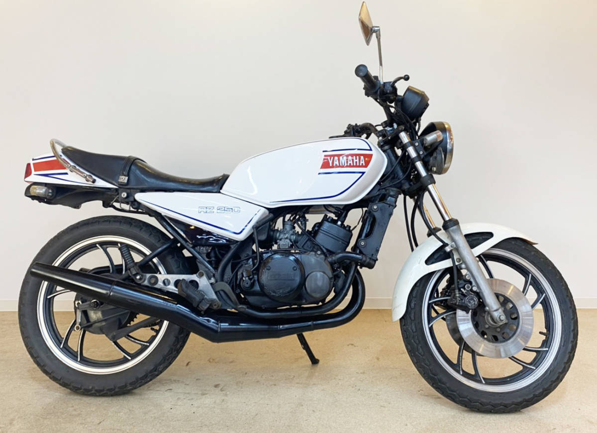 数々の賞を受賞 RZ250 350 ダブルディスク ienomat.com.br