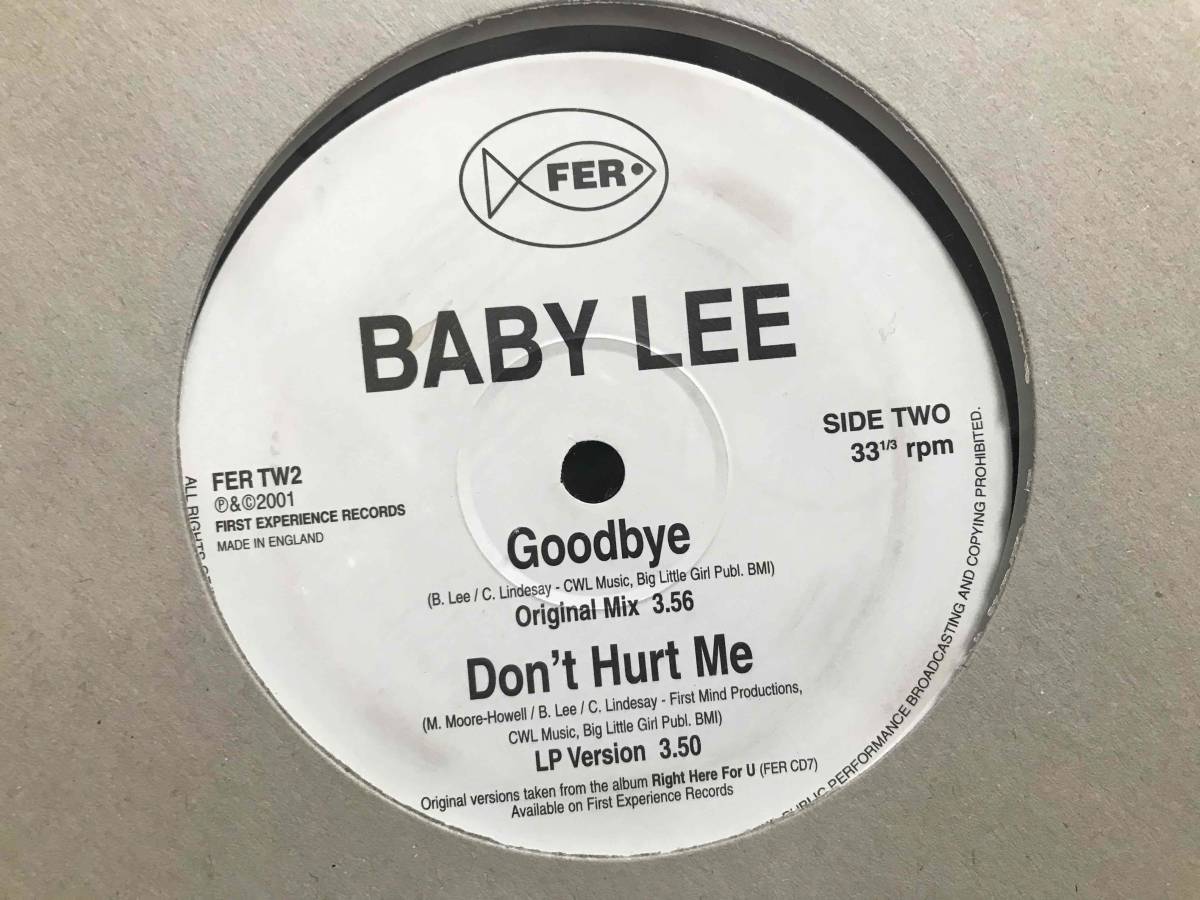 Baby Lee // Goodbye / Don't Hurt Me_画像3