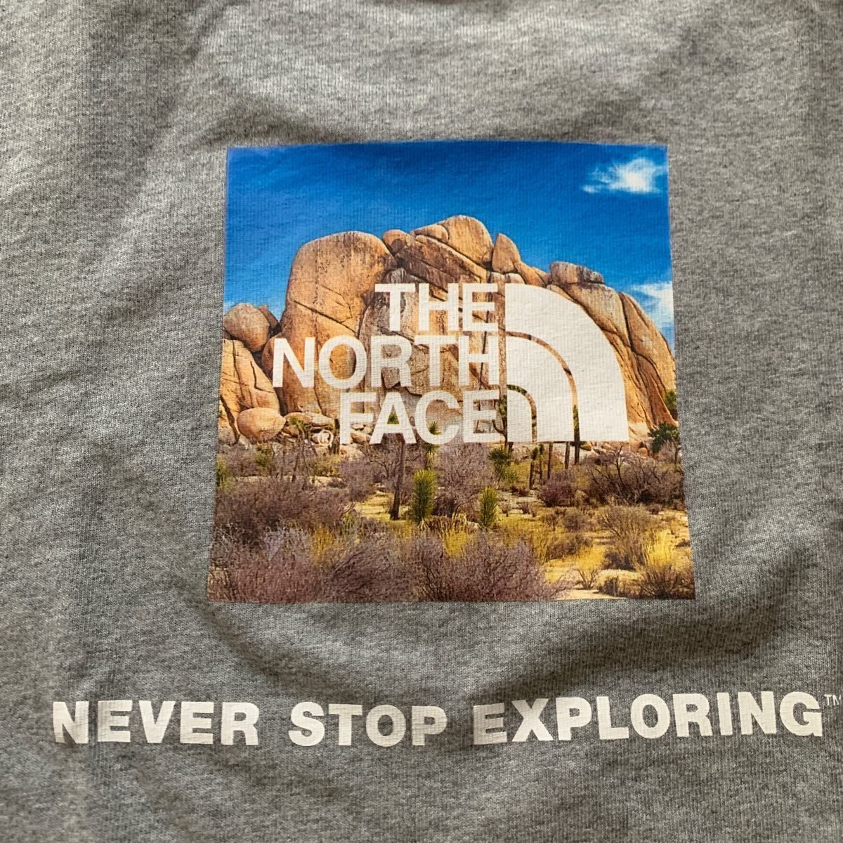新品タグ付きノースフェイスTシャツLレディースミックスグレー 新品タグ付きノースフェイスTシャツLレディースミックスグレー
