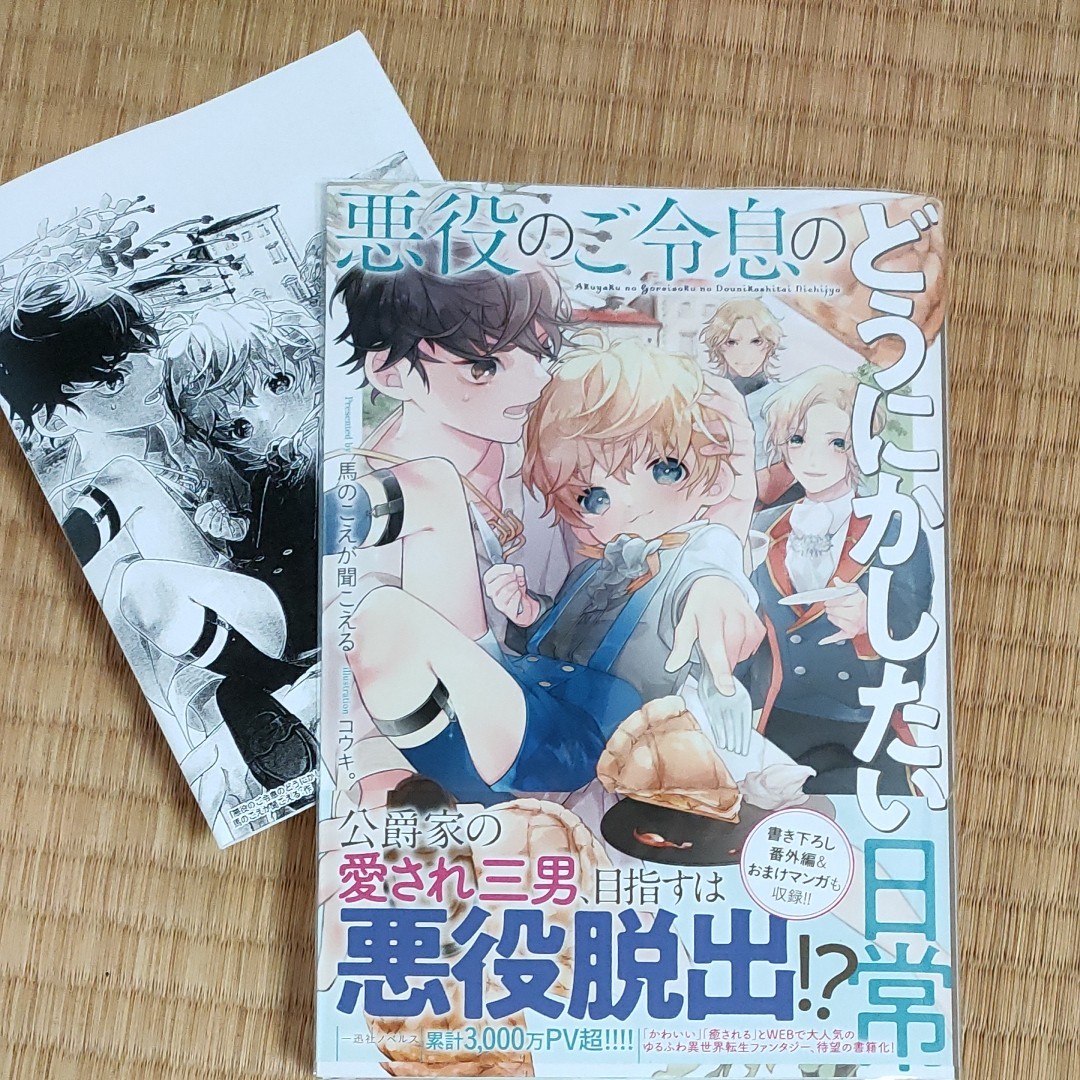 Paypayフリマ 悪役のご令息のどうにかしたい日常 Paypayフリマ 悪役のご令息のどうにかしたい日常